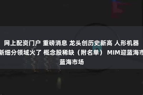 网上配资门户 重磅消息 龙头创历史新高 人形机器人新细分领域火了 概念股稀缺（附名单） MIM迎蓝海市场